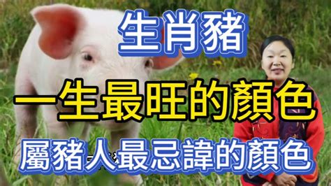 屬豬的貴人|貴人旺財，小人敗財：屬豬人命中的貴人與小人 